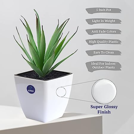 KWEL Daisy Pot Plastic Attractive Pot for Home Garden - Size 5 Inch (Multicolor)
