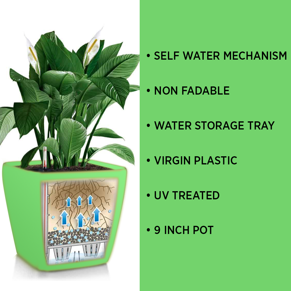 KWEL Daisy Pot Plastic Attractive Pot for Home Garden with Inner Tray Self Water Mechanism Size 12 Inch- Pack of 3 (Green)