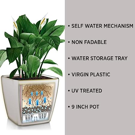 KWEL Daisy Pot Plastic Attractive Pot for Home Garden with Inner Tray Self Water Mechanism Size 9 Inch- Pack of 4