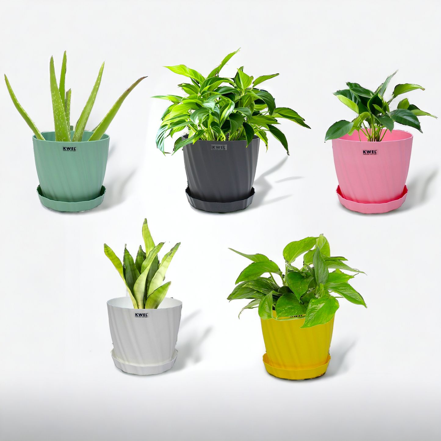 KWEL Glory 7" Plastic Round Flower Pots for Home Planters, Terrace, Garden Etc | Multicolor.