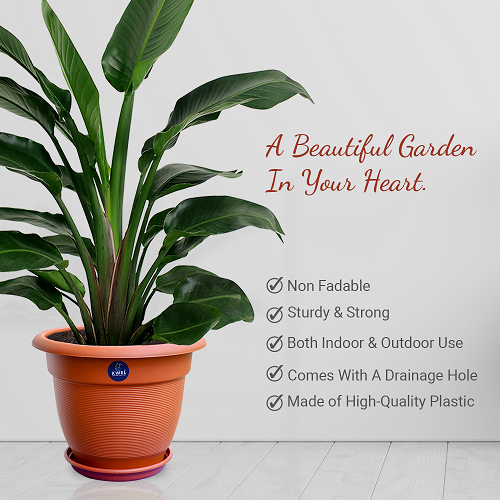 KWEL Round Elegance Pots for Plants with Outer Tray for Balcony - Brown Size 10 Inch (Pack of 6)
