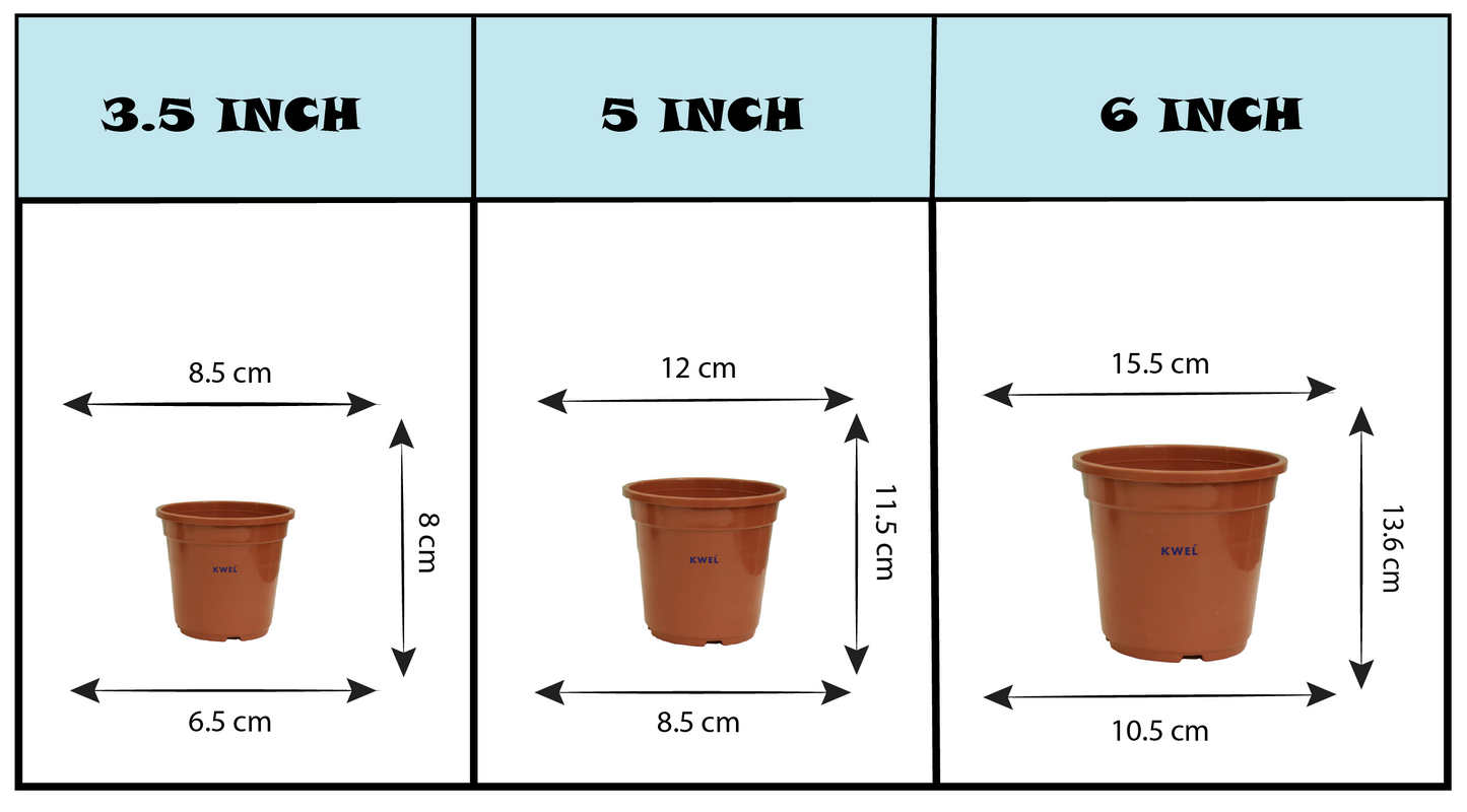 KWEL N Pot for Home Garden | Planters for Outdoor Balcony and Nursery | Flower Planting Pots Size 6" Brown Color