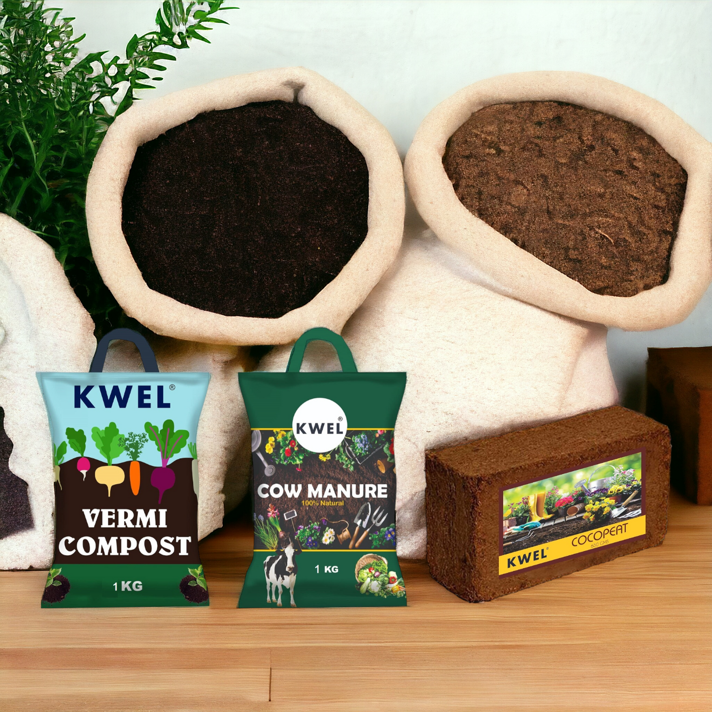 KWEL Nutrient Combo Vermicompost 1kg, Organic Cow Manure 1kg, Coco Peat 650gm With Bonus Divinity Pot 6".