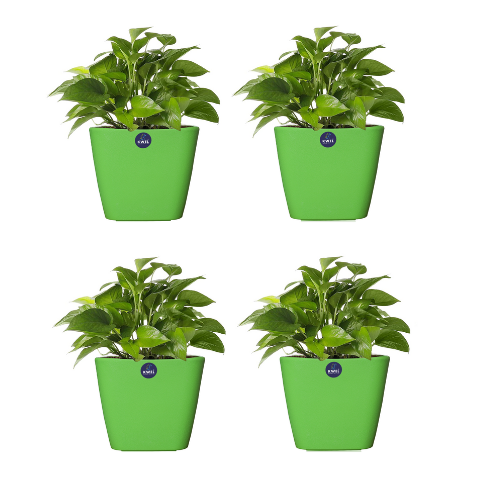 KWEL Daisy Pot Plastic Attractive Pot for Home Garden with Inner Tray Self Water Mechanism Size 9 Inch- Pack of 4