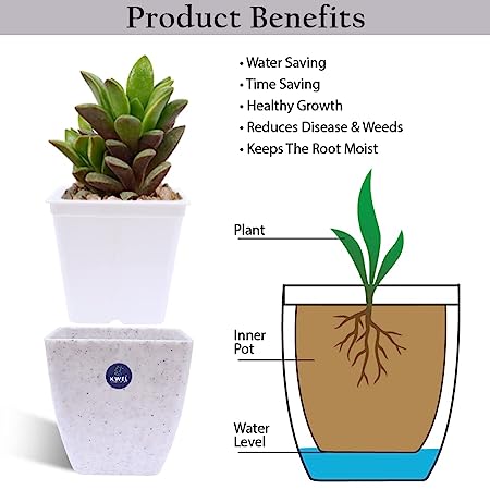 KWEL Daisy Pot Square Cut Plastic Pot for Home Garden Office Decoration - Size 5 Inch - Pack of 4