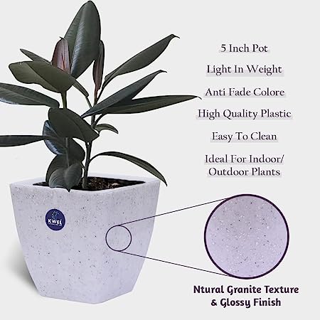 KWEL Daisy Pot Square Cut Plastic Pot for Home Garden Office Decoration - Size 5 Inch - Pack of 4
