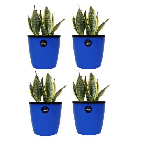 KWEL Deco Self Watering Flower pots 6” Virgin Plastic Indoor Outdoor Balcony Flower Pot with Outer and Inner Flower- Pack of 4