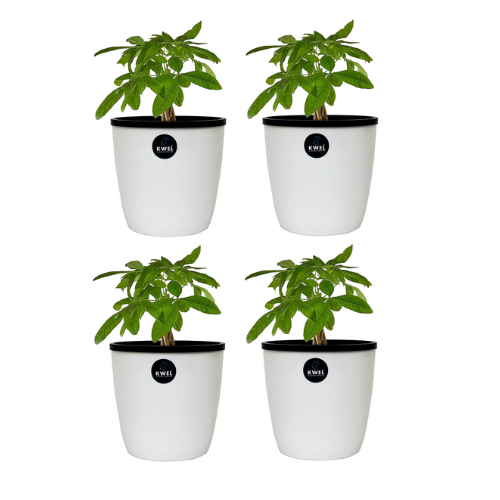 KWEL Deco Self Watering Flower pots 6” Virgin Plastic Indoor Outdoor Balcony Flower Pot with Outer and Inner Flower- Pack of 4