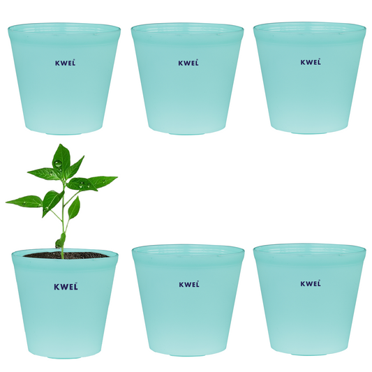 KWEL N Pot for Home Garden | Planters for Outdoor Balcony and Nursery | Flower Planting Pots  Aqua (Pack of 6)