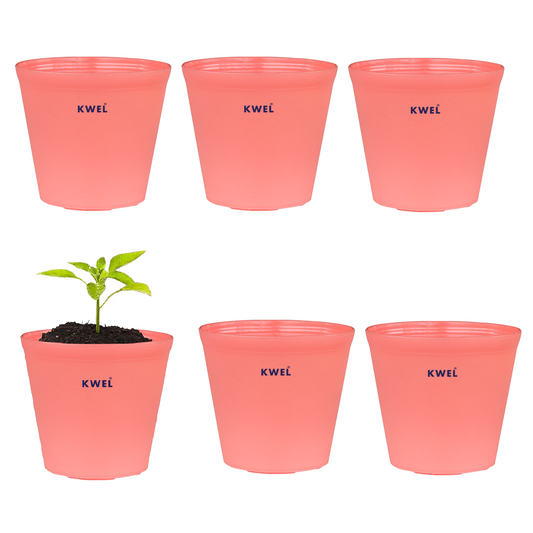 KWEL N Pot for Home Garden | Planters for Outdoor Balcony and Nursery | Flower Planting Pots Peach (Pack of 6)