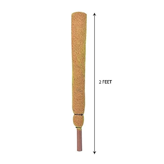 KWEL Garden Plant Supporter Stick 2 feet (61 cm) for Climbing Indoor Plants