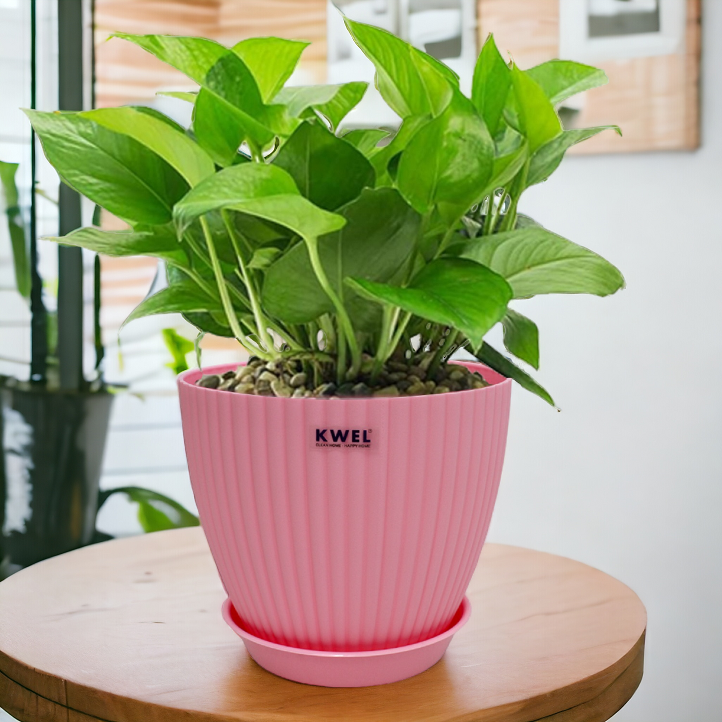 KWEL Pearl 7" Plastic Round Flower Pots for Home Planters, Terrace, Garden Etc | Pink.