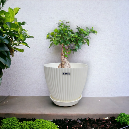 KWEL Pearl 7" Plastic Round Flower Pots for Home Planters, Terrace, Garden Etc | White.