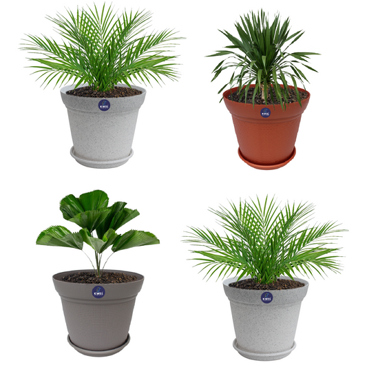 KWEL Aura Planter 8" Pots for Indoor & Outdoor Planter Multicolor (Pack of 4)