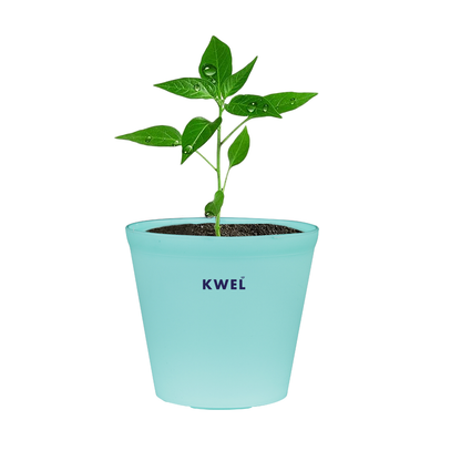 KWEL N Pot for Home Garden | Planters for Outdoor Balcony and Nursery | Flower Planting Pots Aqua Colour