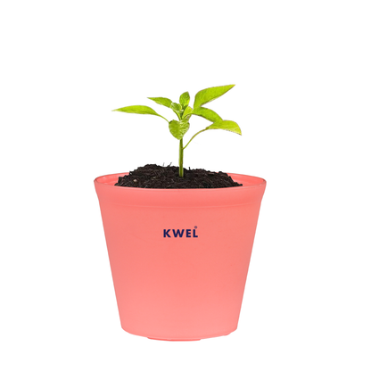 KWEL N Pot for Home Garden | Planters for Outdoor Balcony and Nursery | Flower Planting Pots Peach Colour