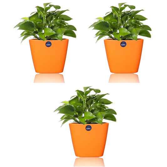 KWEL Daisy Pot Plastic Attractive Pot for Home Garden with Inner Tray Self Water Mechanism Size 12 Inch- Pack of 3 (Orange)