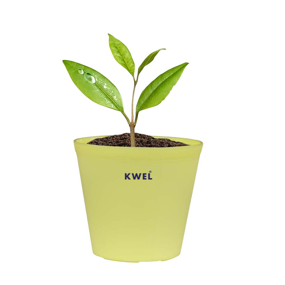 KWEL N Pot for Home Garden | Planters for Outdoor Balcony and Nursery | Flower Planting Pots Yellow Colour