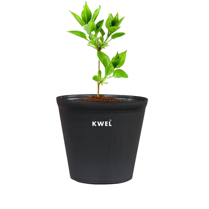 KWEL N Pot for Home Garden | Planters for Outdoor Balcony and Nursery | Flower Planting Pots Black Colour