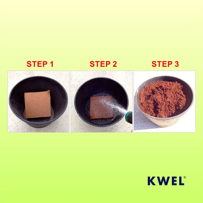 KWEL Nutrient Combo Vermicompost 1kg, Organic Cow Manure 1kg, Coco Peat 650gm With Bonus Divinity Pot 6".