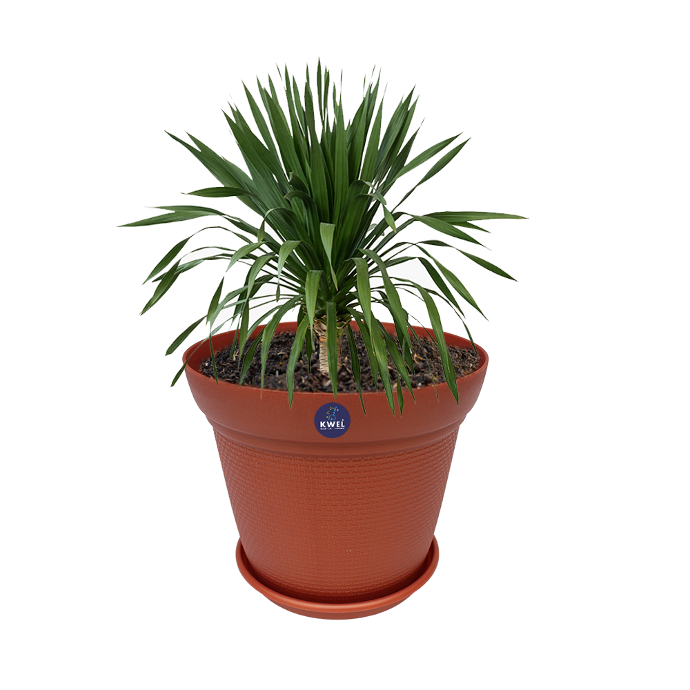 KWEL Aura Planter 10" Pots for Indoor & Outdoor Plants, Home, Office Décor, Multicolor.