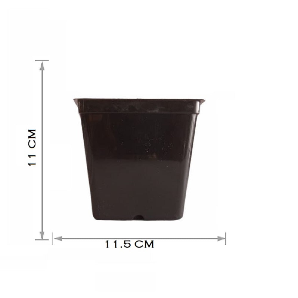 KWEL Square Nursery Pot 5inch Plastic Black Colour