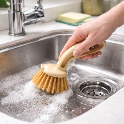 KWEL Kitchen & Bathroom Cleaning Brush | Plastic Sink Scrub Brush for Wash Basin, Tiles, Countertops & Dishes | Strong Bristles | Pack of 2 | Multicolor
