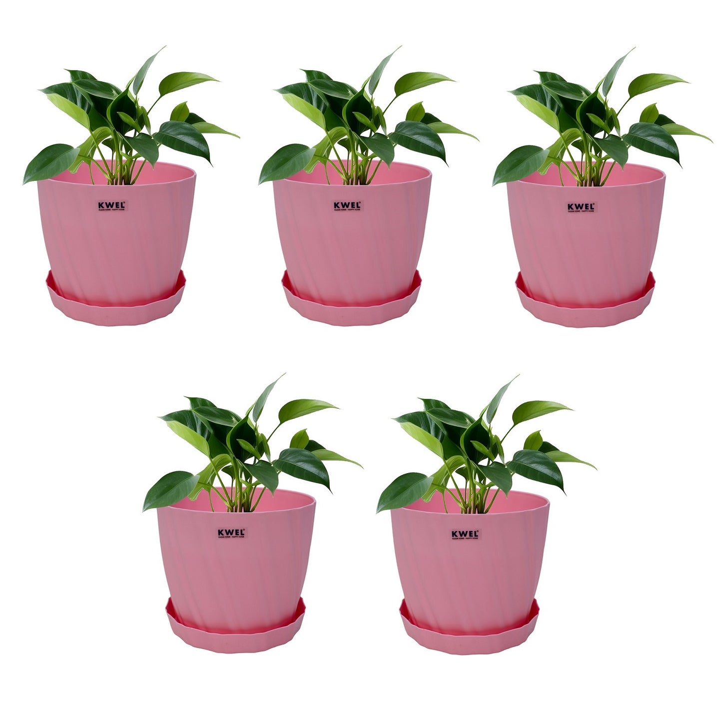 KWEL Glory 7" Plastic Round Flower Pots for Home Planters, Terrace, Garden Etc | Pink.