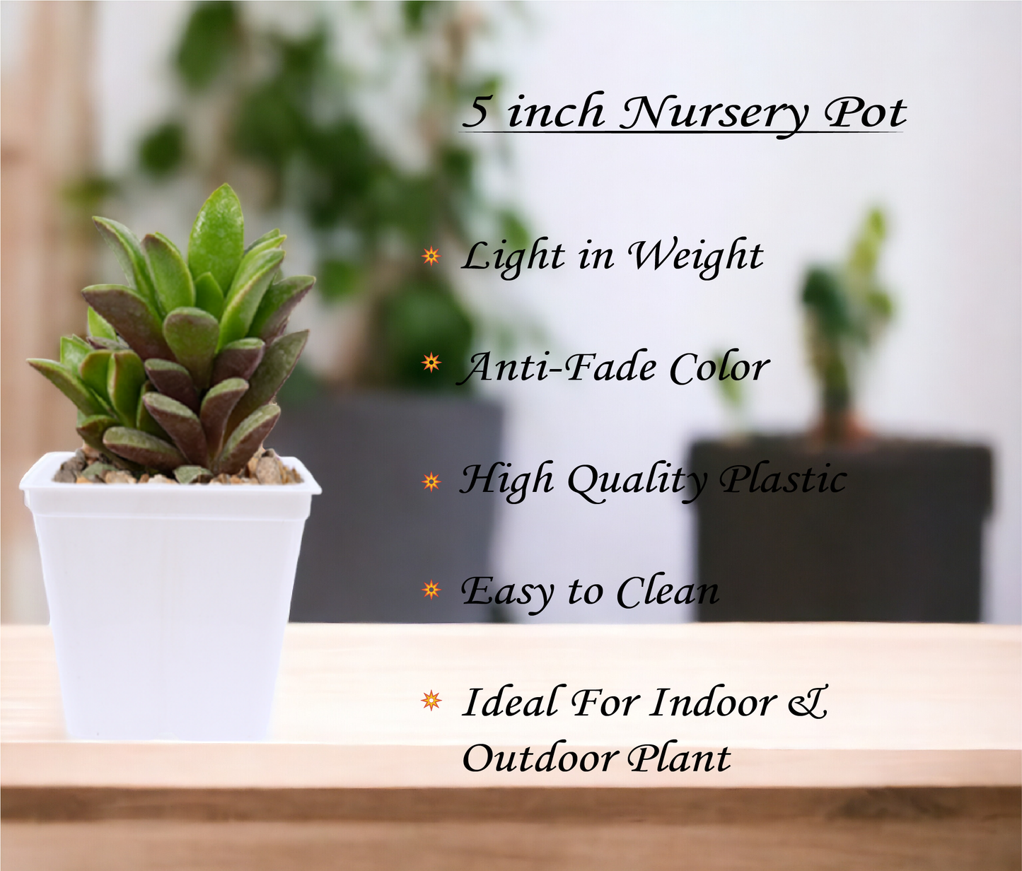 KWEL Square Nursery Pot 5inch Plastic White Colour