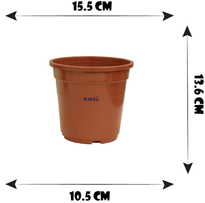 KWEL N Pot for Home Garden | Planters for Outdoor Balcony and Nursery | Flower Planting Pots Size 6" Brown Color