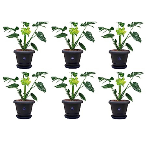 KWEL Flower Pots for Plants and Flowers Including Tray Size 8 Inch - Black