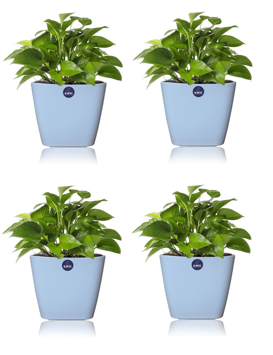 KWEL Daisy Pot Plastic Attractive Pot for Home Garden with Inner Tray Self Water Mechanism Size 7 Inch- Pack of 4 (Blue)