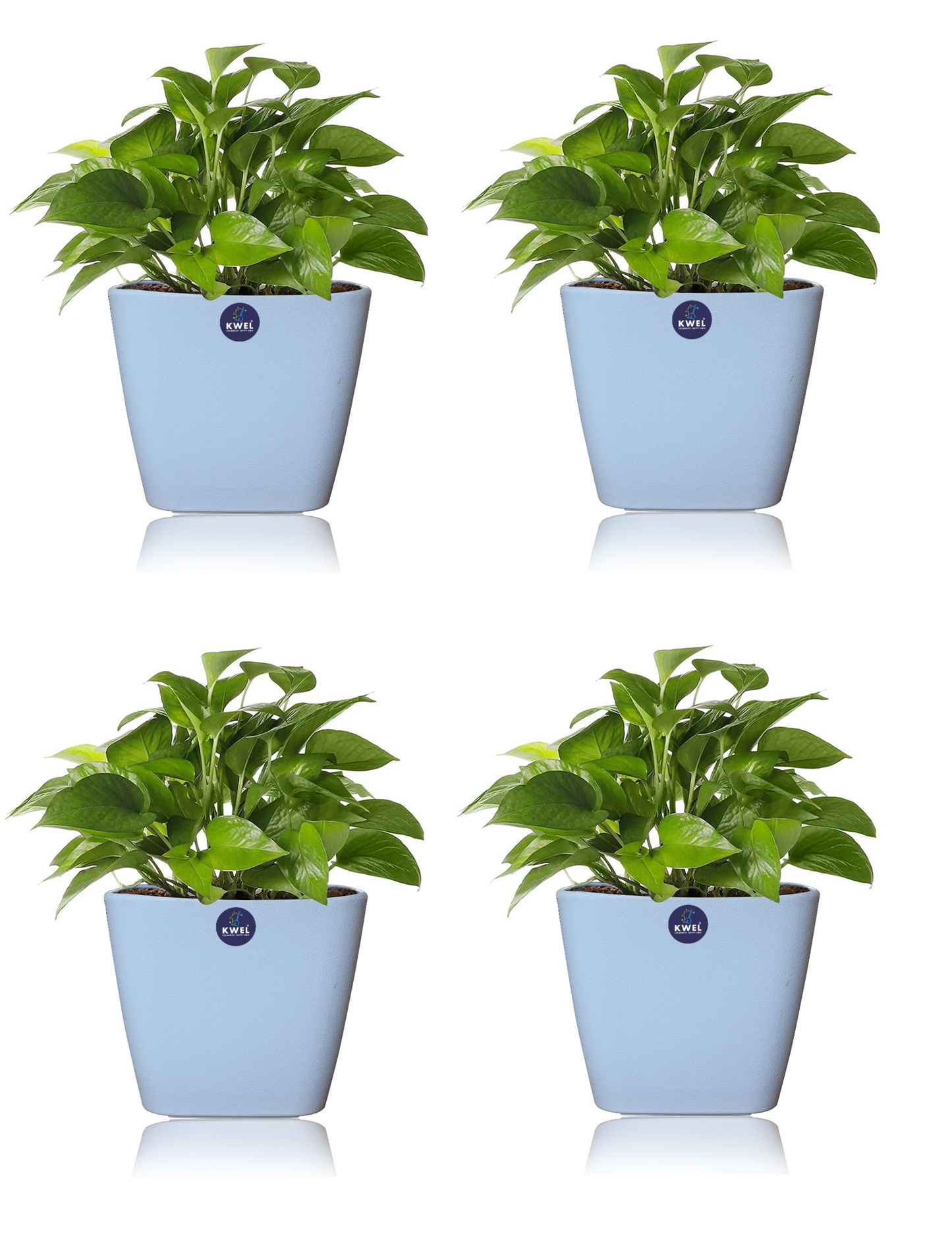 KWEL Daisy Pot Plastic Attractive Pot for Home Garden with Inner Tray Self Water Mechanism Size 9 Inch- Pack of 4 (Blue)