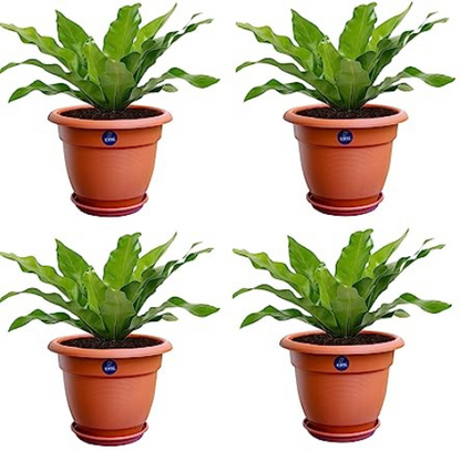 KWEL Round Pots for Plants Big with Free Tray Size 14'' Inch - Pack of 4 - Brown