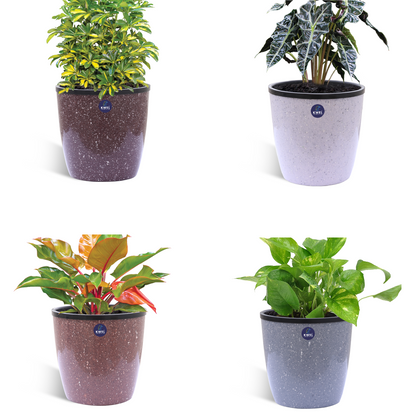 KWEL Deco Self Watering Flower pots 6” Virgin Plastic Indoor Outdoor Balcony Flower Pot with Outer and Inner Flower- Pack of 4 (Stone)