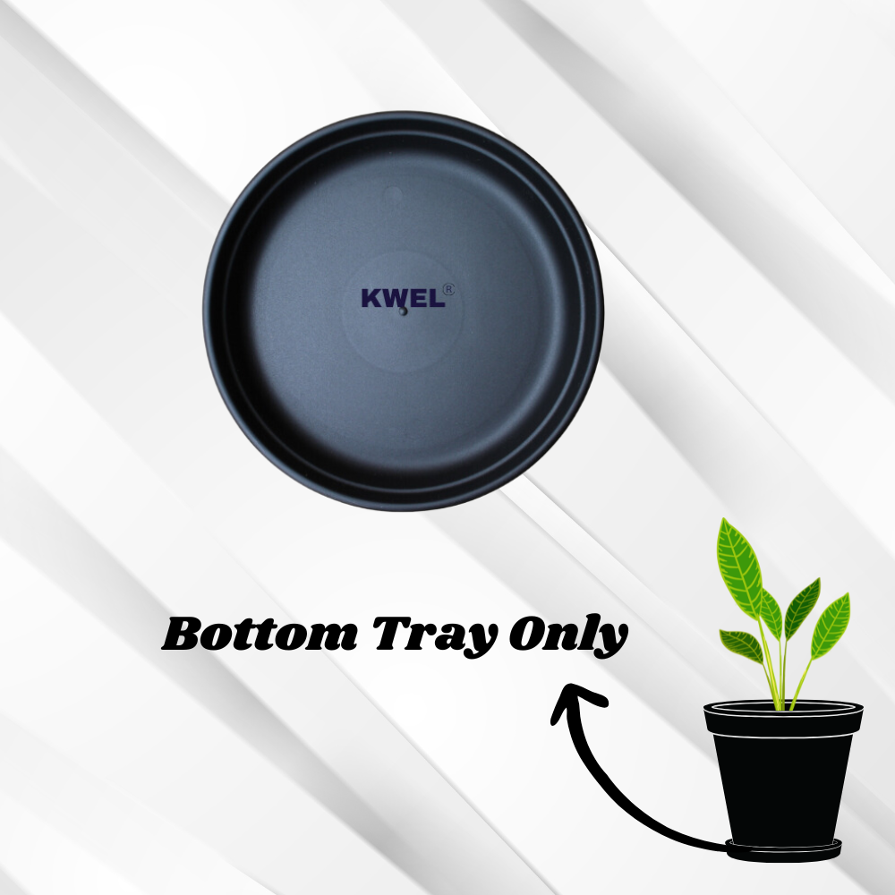 KWEL UV Treated Round Bottom Tray Black (Plate/Saucer/Size 11 inch)- Pack of 6