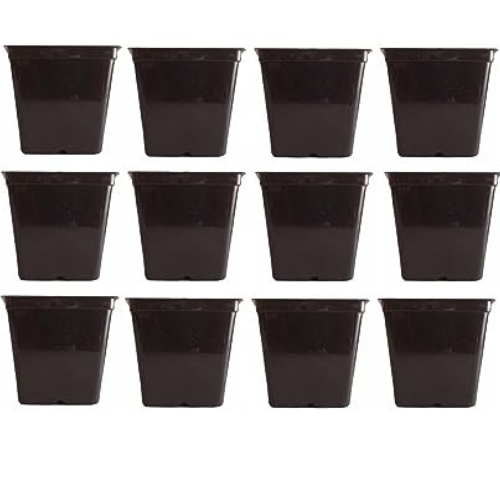 KWEL Square Nursery Pot 5inch Plastic Black Colour