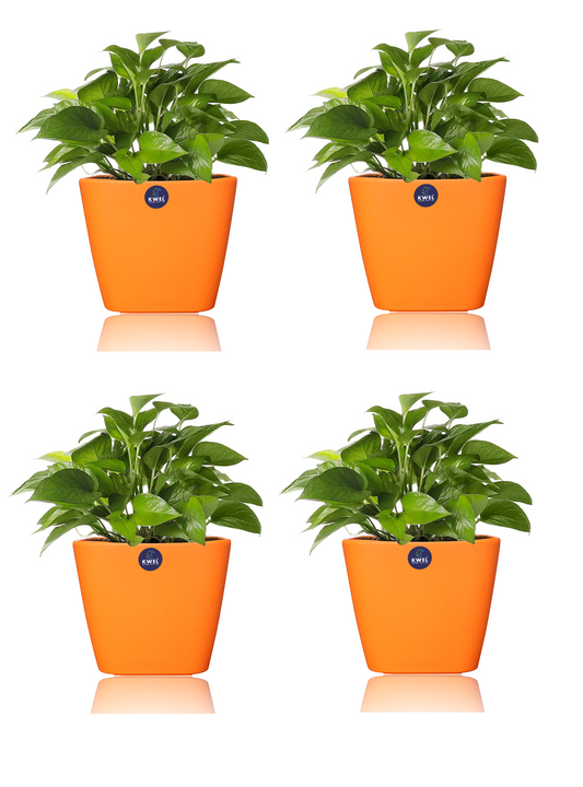 KWEL Daisy Pot Plastic Attractive Pot for Home Garden with Inner Tray Self Water Mechanism Size 7 Inch- Pack of 4 (Orange)