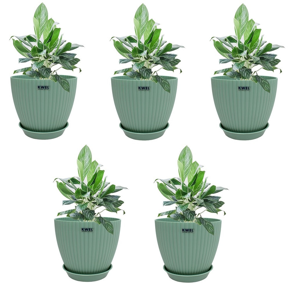 KWEL Pearl 7" Plastic Round Flower Pots for Home Planters, Terrace, Garden Etc | Green.