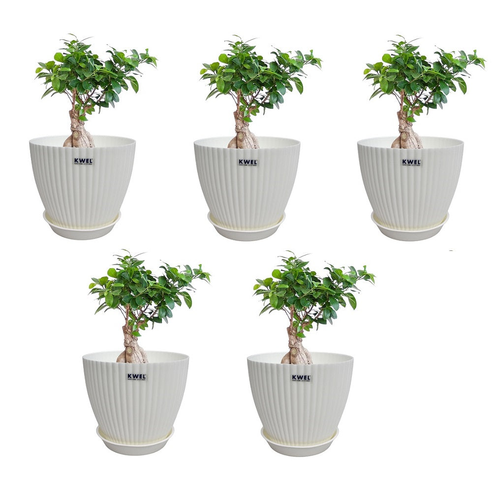 KWEL Pearl 7" Plastic Round Flower Pots for Home Planters, Terrace, Garden Etc | White.