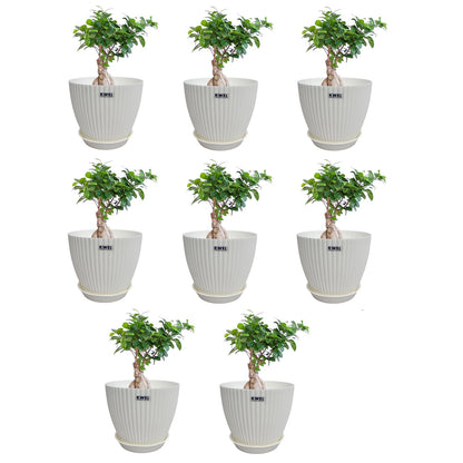 KWEL Pearl 7" Plastic Round Flower Pots for Home Planters, Terrace, Garden Etc | White.