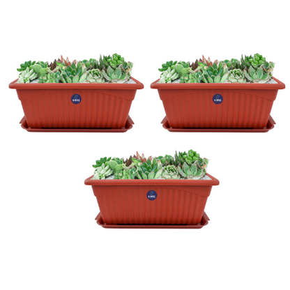 KWEL Rectangle Royal Planter Pots With Tray No-2(Medium) Terracotta Colour (Pack of 3)