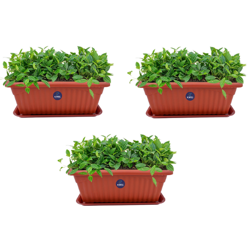 KWEL Royal Planter Pots With Tray No-1(Small) Terracotta Color (Pack of 3)