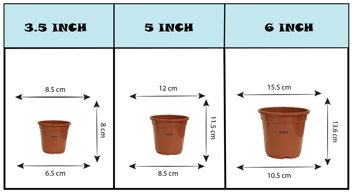 KWEL N Pot for Home Garden | Planters for Outdoor Balcony and Nursery | Flower Planting Pots Size 5" Brown Color (Pack of 18)