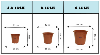 KWEL N Pot for Home Garden | Planters for Outdoor Balcony and Nursery | Flower Planting Pots Size 5" Brown Color (Pack of 18)