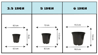 KWEL N Pot for Home Garden | Planters for Outdoor Balcony and Nursery | Flower Planting Pots Size 5" Black Color (Pack of 18)