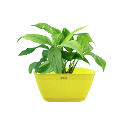 KWEL Eva Self Watering Flower Pot Virgin Plastic, Suitable For Indoor & Outdoor Plants (Pack of 3) White