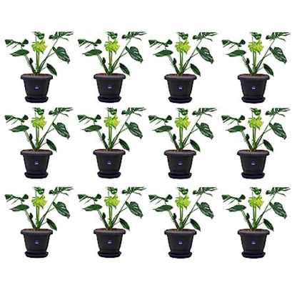 KWEL Flower Pots for Plants and Flowers Including Tray Size 12 Inch - Black