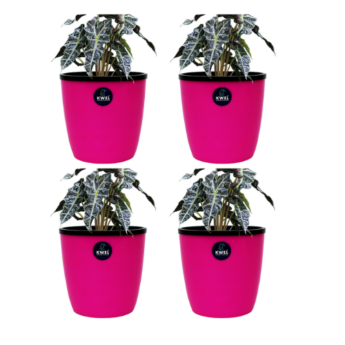 KWEL Deco Self Watering Flower pots 6” Virgin Plastic Indoor Outdoor Balcony Flower Pot with Outer and Inner Flower- Pack of 4