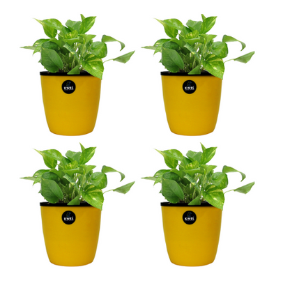 KWEL Deco Self Watering Flower pots 6” Virgin Plastic Indoor Outdoor Balcony Flower Pot with Outer and Inner Flower- Pack of 4